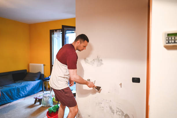 Best Industrial Mold Remediation in Dry Ridge, OH